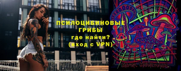 мяу мяу мука Абаза