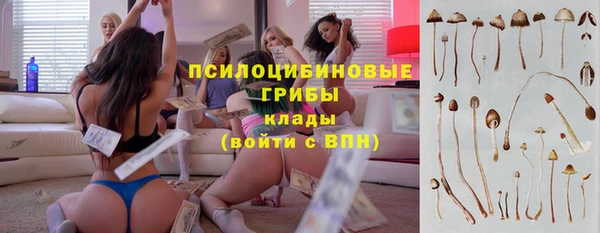 молекула духа Абинск