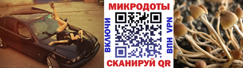 Галлюциногенные грибы MAGIC MUSHROOMS  где можно купить наркотик  Ишимбай 